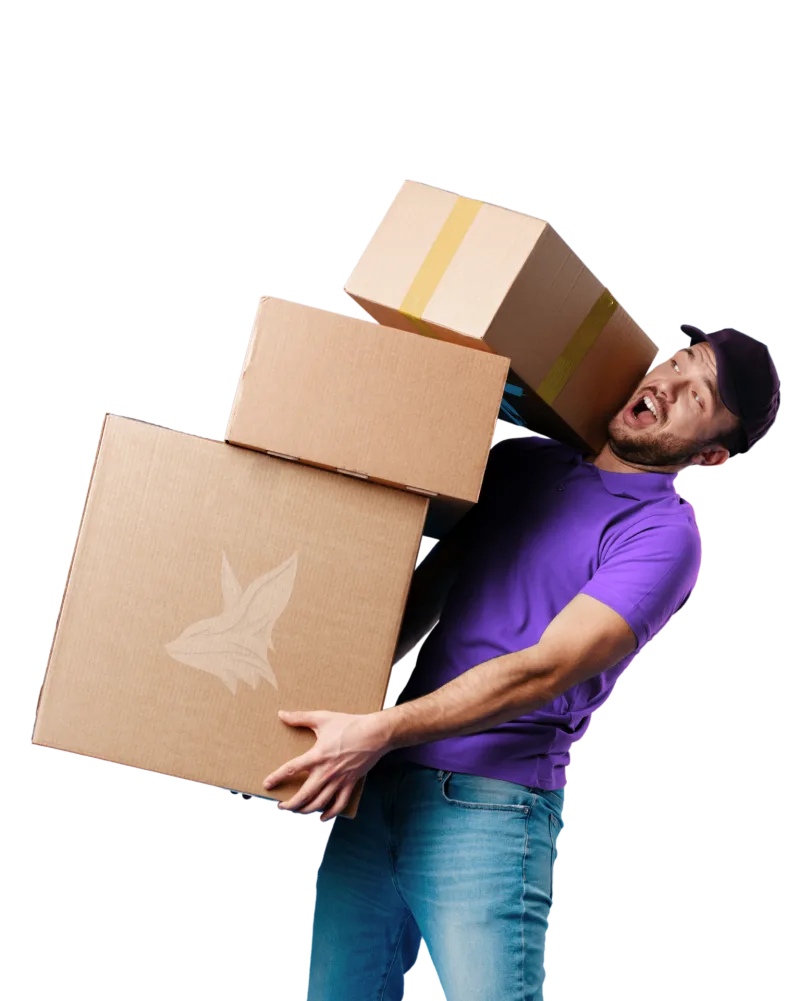 Delivery man carrying packages